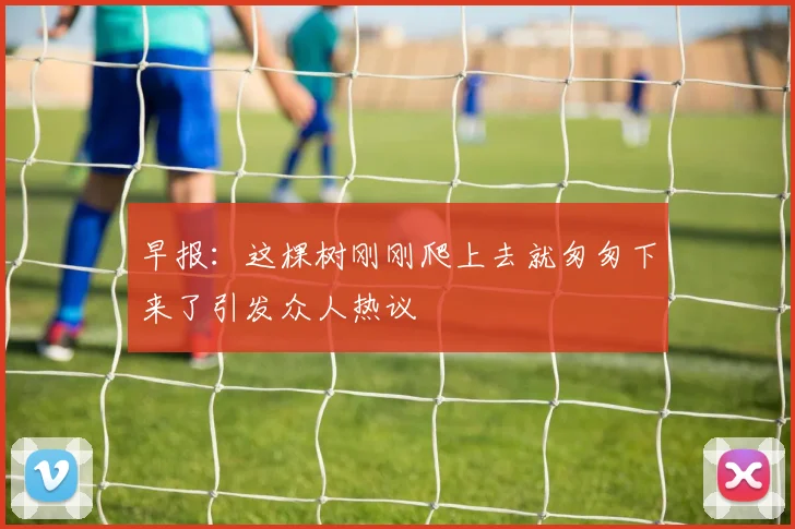 早报：这棵树刚刚爬上去就匆匆下来了引发众人热议