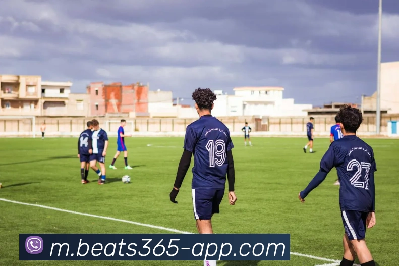 beats365体育APP 封面图